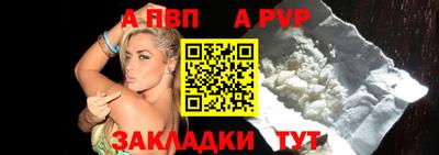 кокс Кингисепп