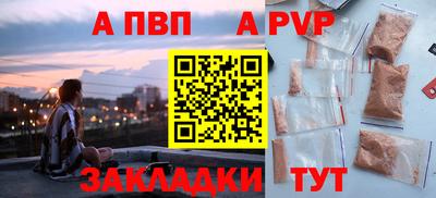 кокс Кингисепп
