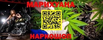 кокс Кингисепп
