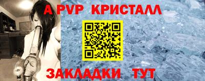 кокс Кингисепп