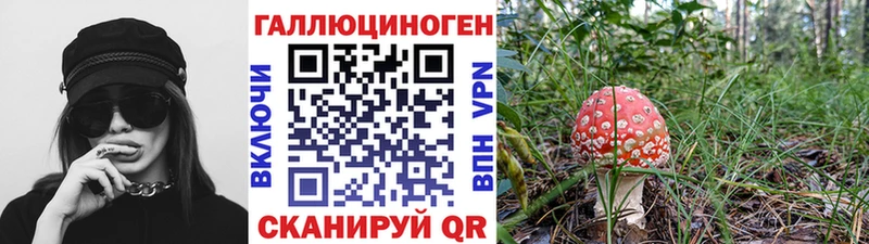 Галлюциногенные грибы MAGIC MUSHROOMS  купить  цена  Кимовск 