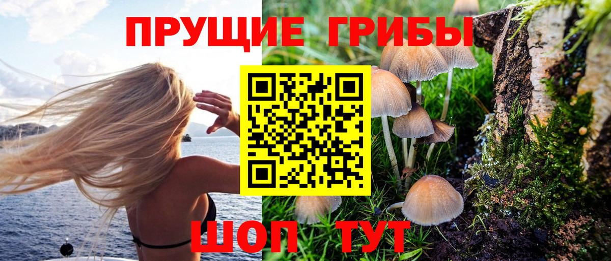 Кимовск  Псилоцибиновые грибы MAGIC MUSHROOMS  Вход с VPN 