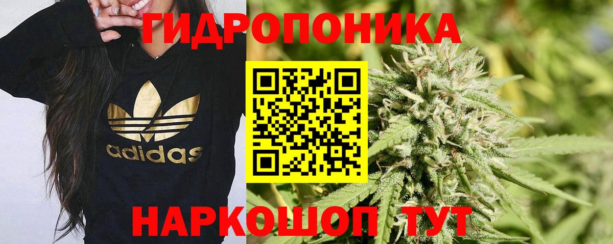 МАРИХУАНА планчик Кимовск